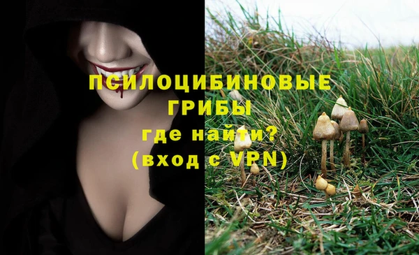 стаф Белокуриха
