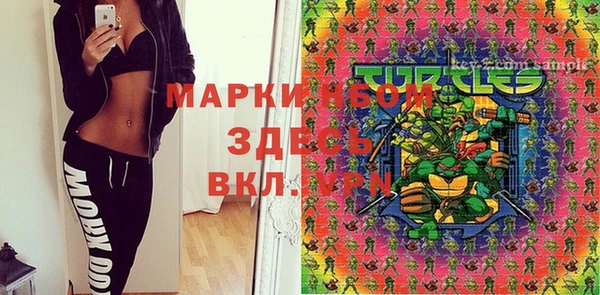 скорость Бородино
