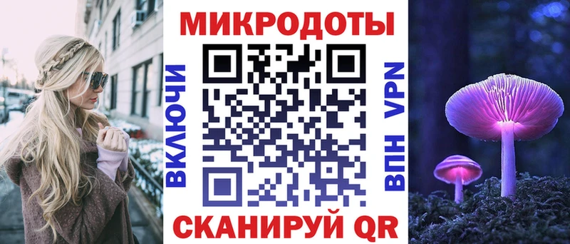 наркота  Гусев  Псилоцибиновые грибы Cubensis 